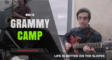 Unveiling Grammy Camp: A Music Industry Immersion Experience for Aspiring Artists