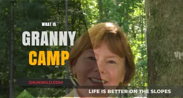 Discover the Joy of Granny Camp: A Multigenerational Adventure