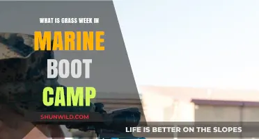 Understanding Grass Week: A Crucial Phase in Marine Boot Camp Training