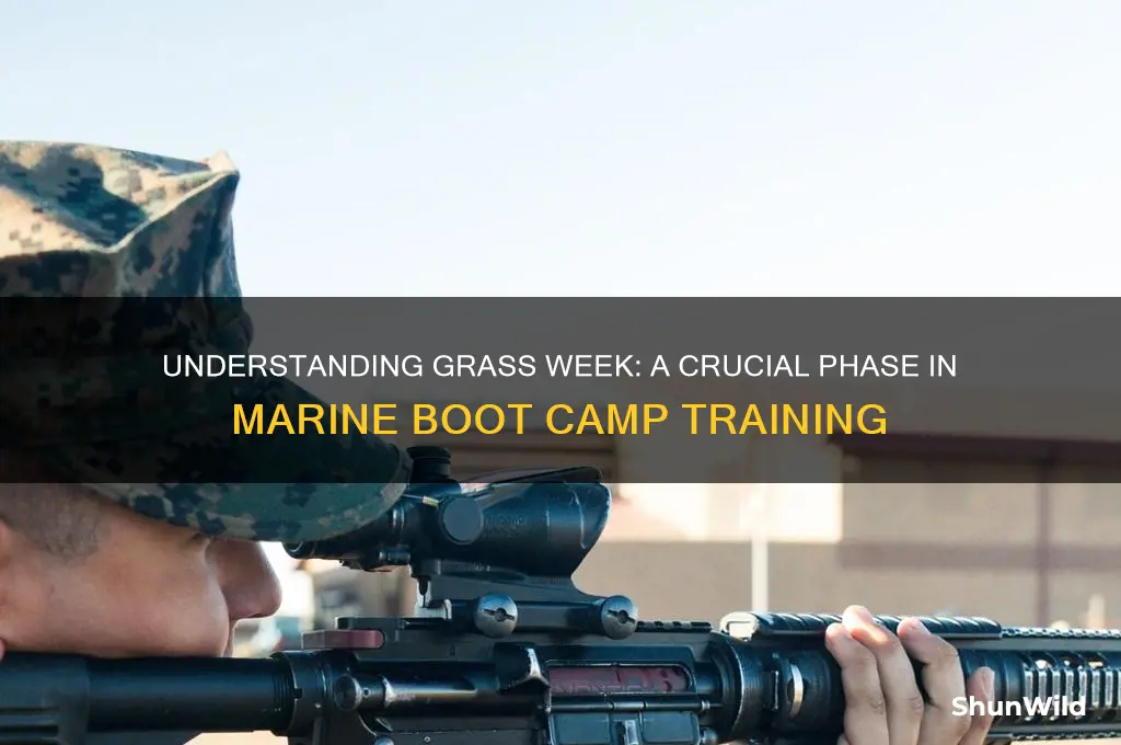what is grass week in marine boot camp
