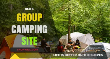 Exploring Group Camping Sites: Benefits, Tips, and Perfect Locations