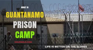 Guantanamo Prison Camp: Unveiling the Controversial Detention Facility's History