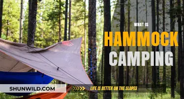 Hammock Camping 101: A Beginner's Guide to Elevated Outdoor Adventures