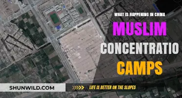 China's Muslim Concentration Camps: Unveiling the Uyghur Crisis and Global Response