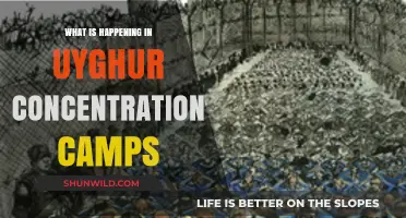 Uyghur Concentration Camps: Unveiling China's Human Rights Crisis