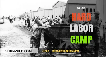Understanding Hard Labor Camps: History, Conditions, and Human Impact
