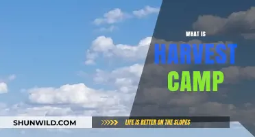 Discover Harvest Camp: A Unique Outdoor Adventure Experience Explained