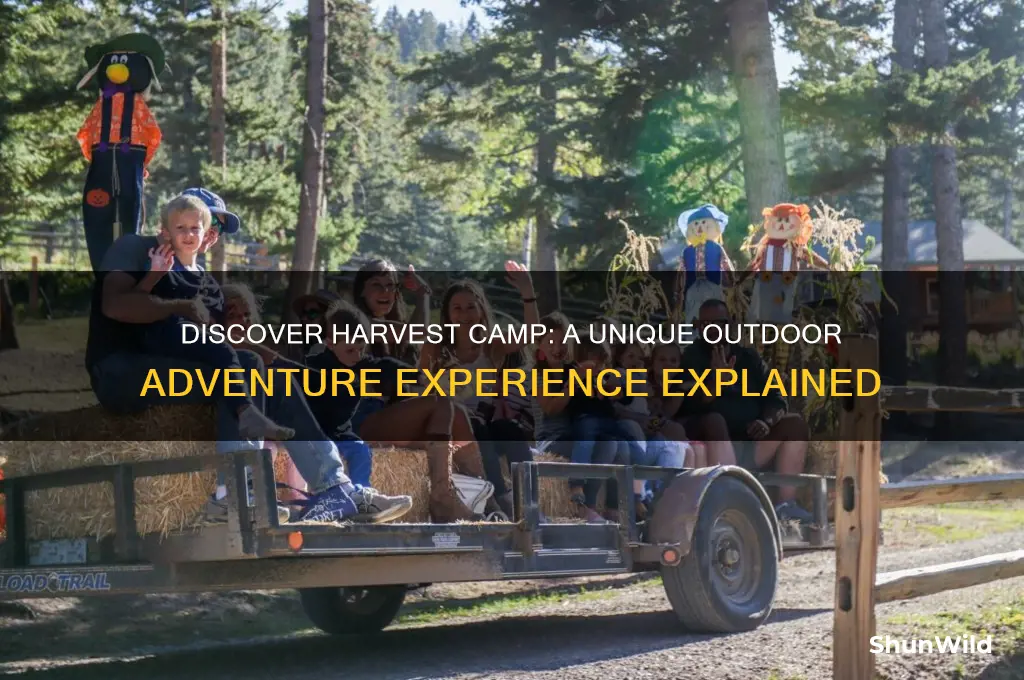 what is harvest camp