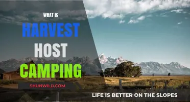 Discover Harvest Host Camping: Unique Overnight Stays at Farms & Wineries