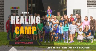 Discover Healing Camp: A Transformative Journey to Wellness and Renewal