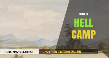 Unveiling Hell Camp: Understanding Its Origins, Purpose, and Impact