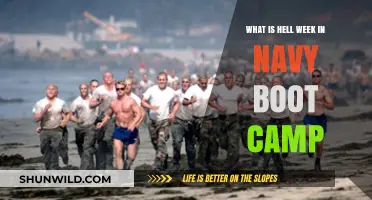 Hell Week in Navy Boot Camp: Unveiling the Ultimate Test of Endurance