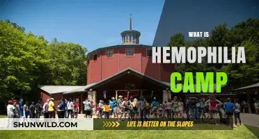 Understanding Hemophilia Camp: A Life-Changing Experience for Patients and Families
