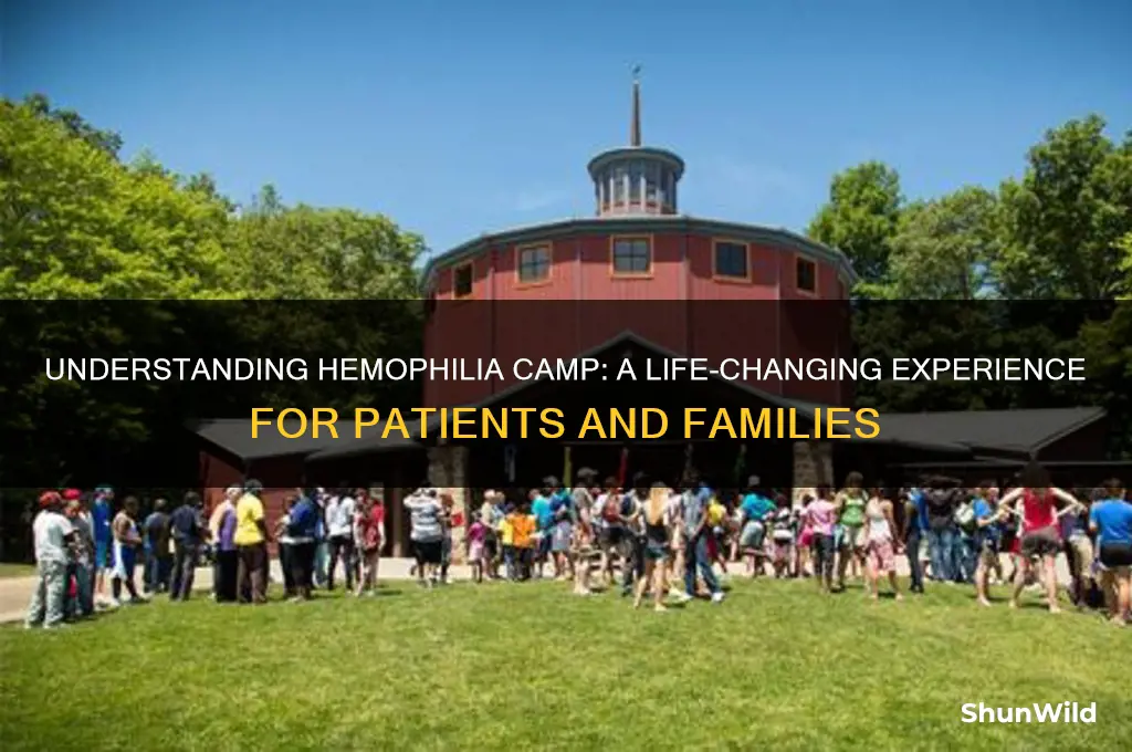 what is hemophilia camp
