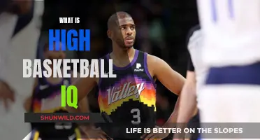 Basketball IQ: Understanding the Game's Mental Aspect