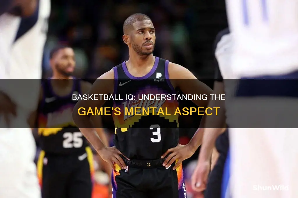 what is high basketball iq