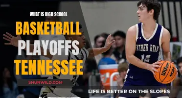 Tennessee's High School Basketball Playoffs: Who Will Win?