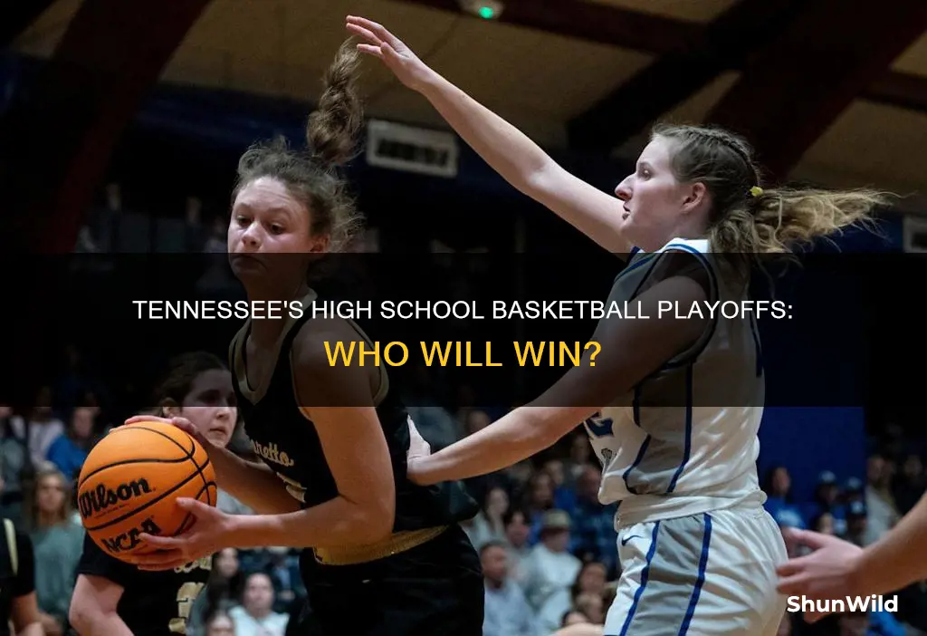 what is high school basketball playoffs tennessee