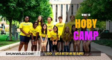 Discovering Leadership: What is HOBY Camp and Its Impact