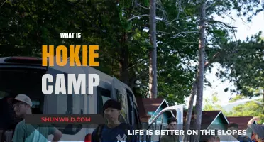 Discovering Hokie Camp: Virginia Tech's Unique Orientation Experience