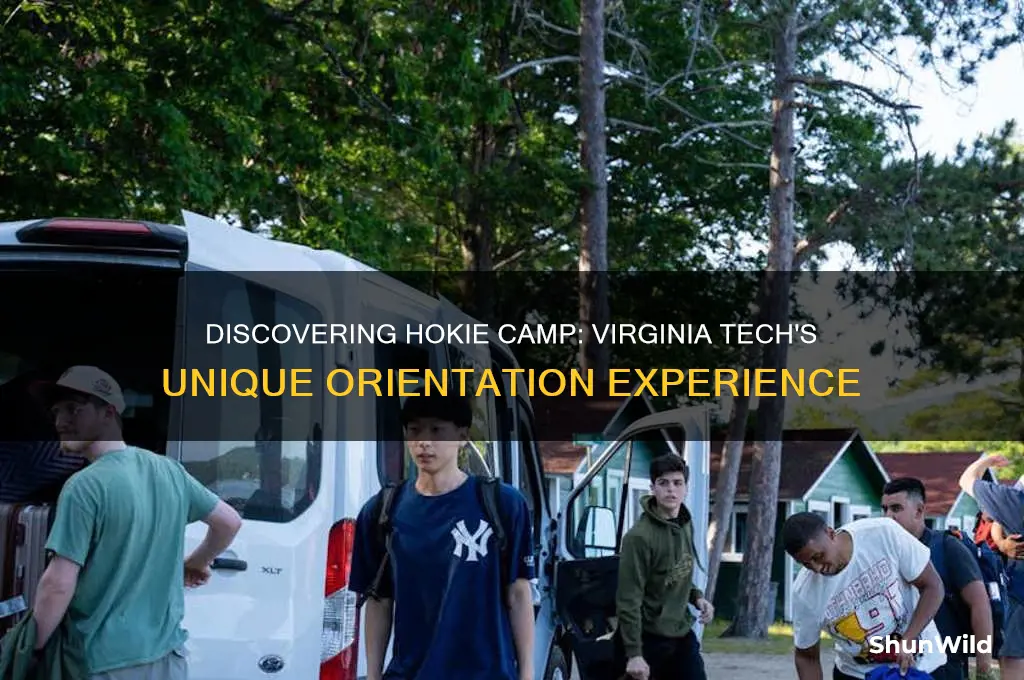 what is hokie camp