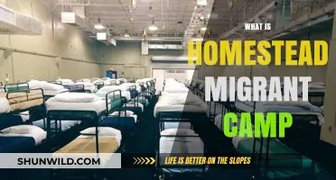 Exploring Homestead Migrant Camp: History, Impact, and Legacy Revealed