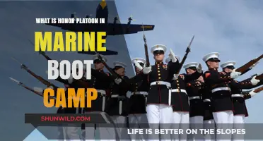 Understanding the Honor Platoon in Marine Boot Camp: Purpose and Impact