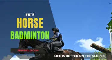 Horse Badminton: A Sport of Precision and Skill