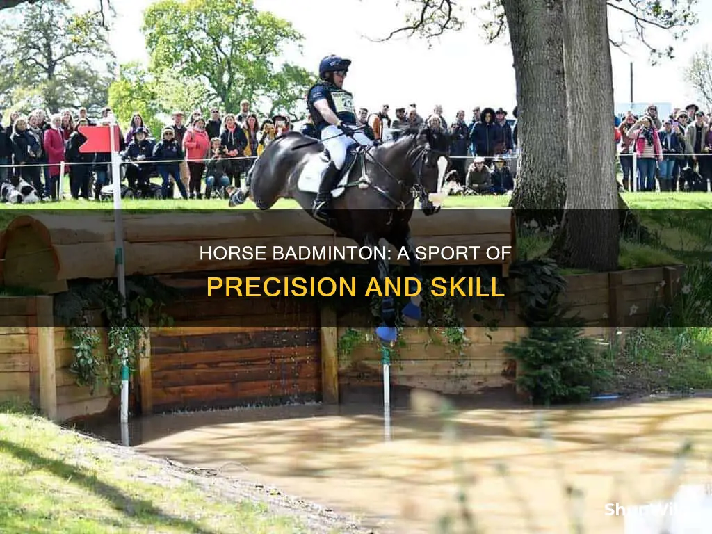 what is horse badminton