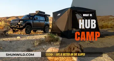 Exploring Hub Camp: A Comprehensive Guide to Its Purpose and Benefits