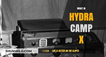 Hydra Camp X: Unveiling the Ultimate Tech and Innovation Experience