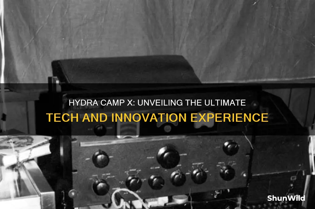 what is hydra camp x