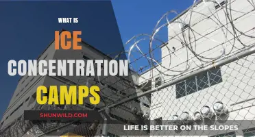Understanding the Horrors of ICE Concentration Camps in America