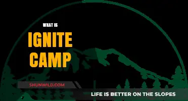 Discover Ignite Camp: Transformative Experiences for Personal and Professional Growth