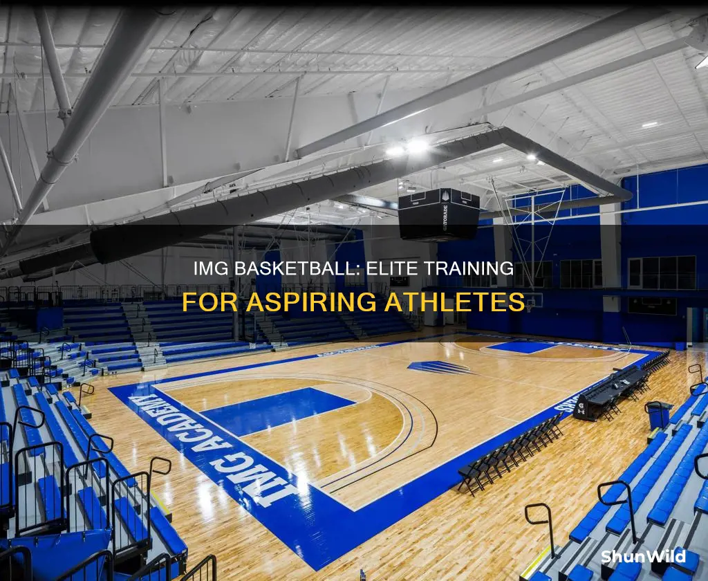 what is img basketball
