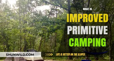 Enhanced Primitive Camping: Elevating Outdoor Adventures with Minimalist Comforts
