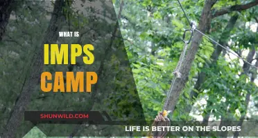 Understanding IMPS Camp: Purpose, Activities, and Benefits Explained