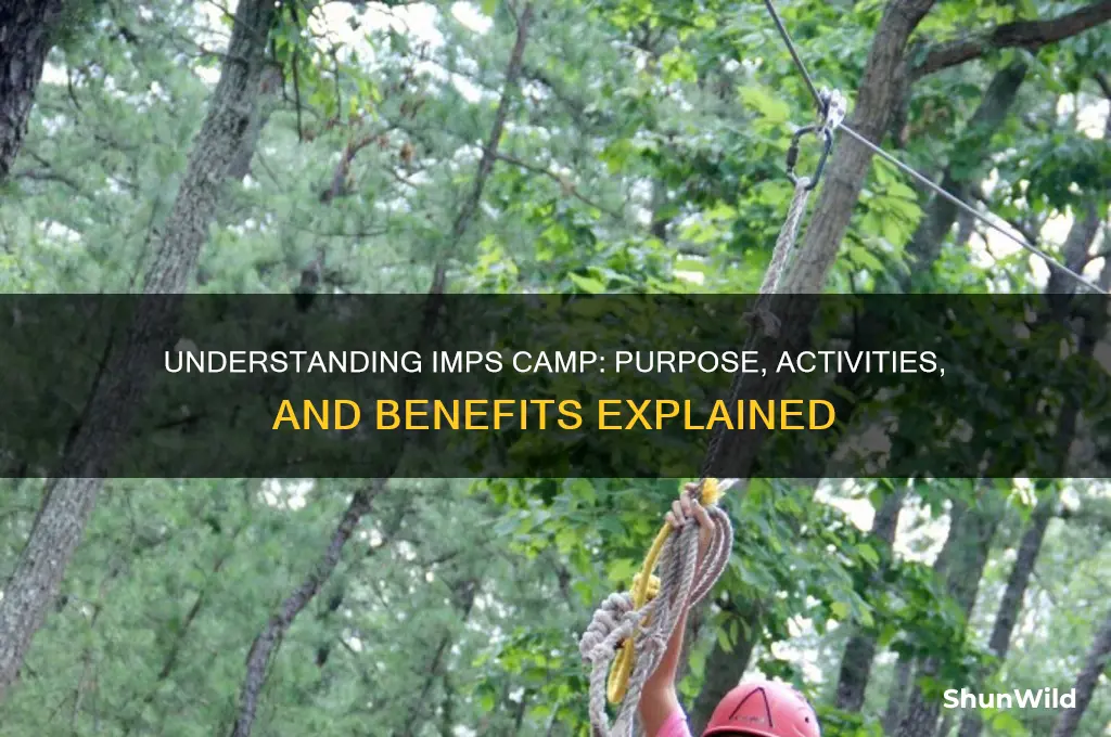 what is imps camp