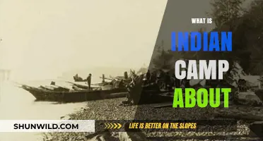 Exploring Hemingway's 'Indian Camp': Themes, Characters, and Cultural Insights