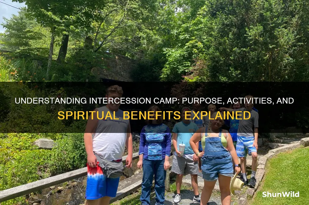 what is intercession camp