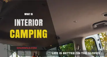 Exploring Interior Camping: A Beginner's Guide to Outdoor Adventures Indoors