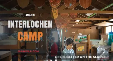 Discover Interlochen Camp: Arts, Adventure, and Unforgettable Summer Experiences