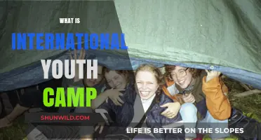 Exploring Global Connections: Understanding the International Youth Camp Experience