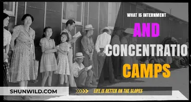 Understanding Internment and Concentration Camps: History, Purpose, and Impact