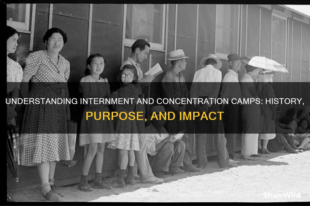 what is internment and concentration camps