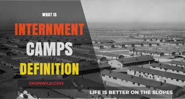 Understanding Internment Camps: A Historical Overview and Definition