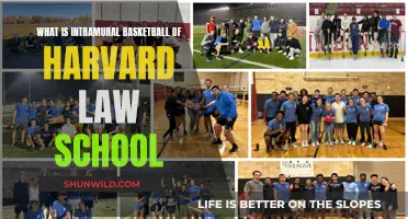 Intramural Basketball: Harvard Law School's Competitive Spirit