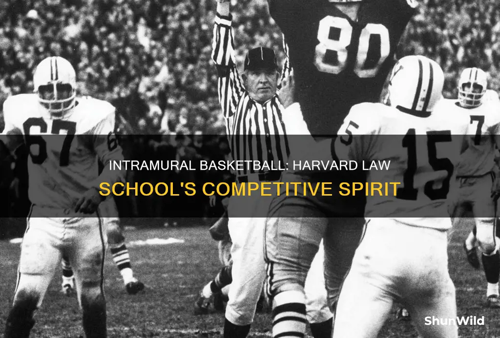what is intramural basketball of harvard law school