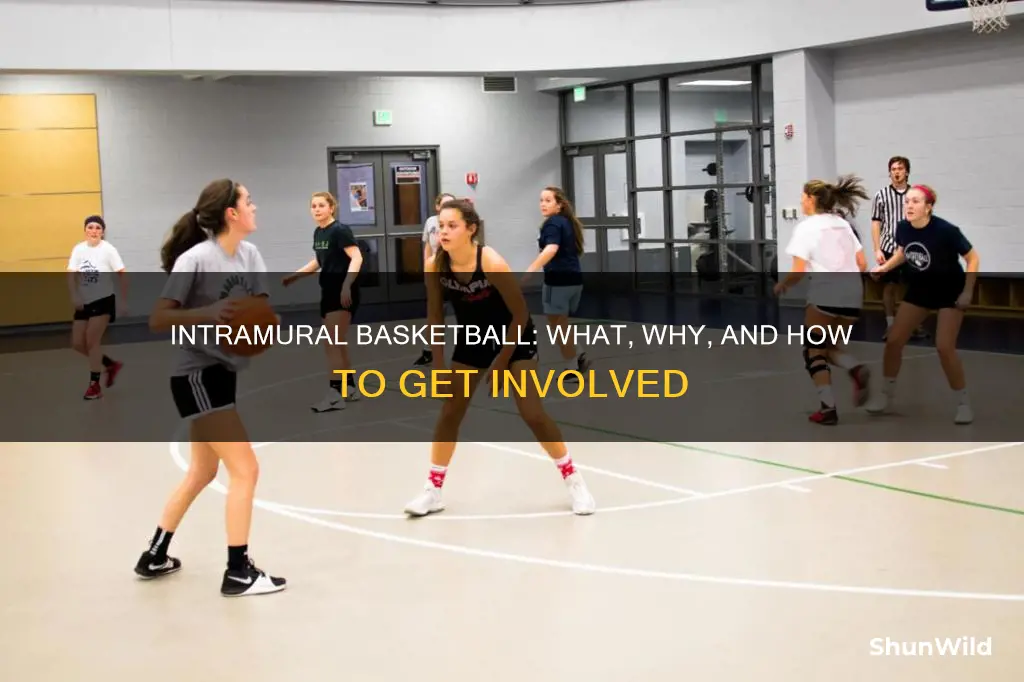 what is intramural basketball