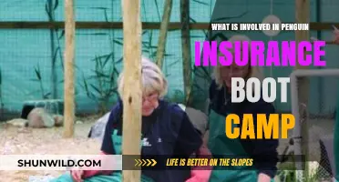 Penguin Insurance Boot Camp: Training, Challenges, and Career Opportunities Explained